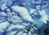 transcend.jpg (192580 bytes)