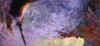 fallendeer.jpg (136724 bytes)